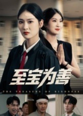 至宝为善(全集)